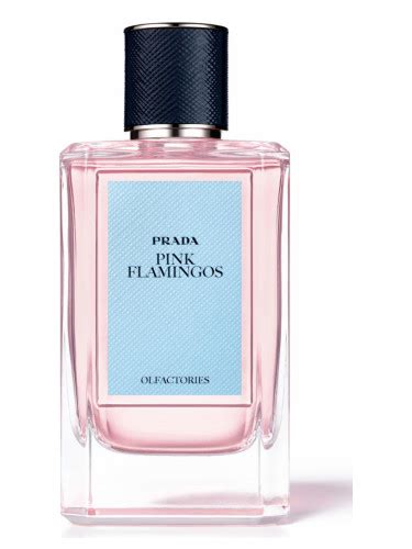 pink flamingo prada|Pink Flamingos Prada for women and men.